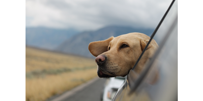 Optimale Feiertage in Deutschland